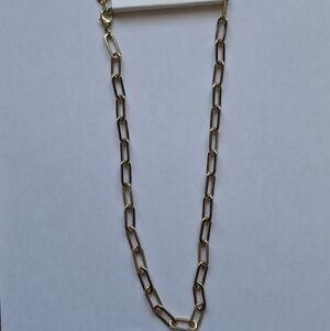 NWT Banana Republic Elegant Gold Link Necklace